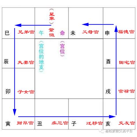 夫妻宮小耗|紫微斗數中的博士十二神——小耗